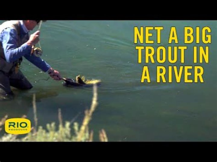 Are fishpond nets worth it?