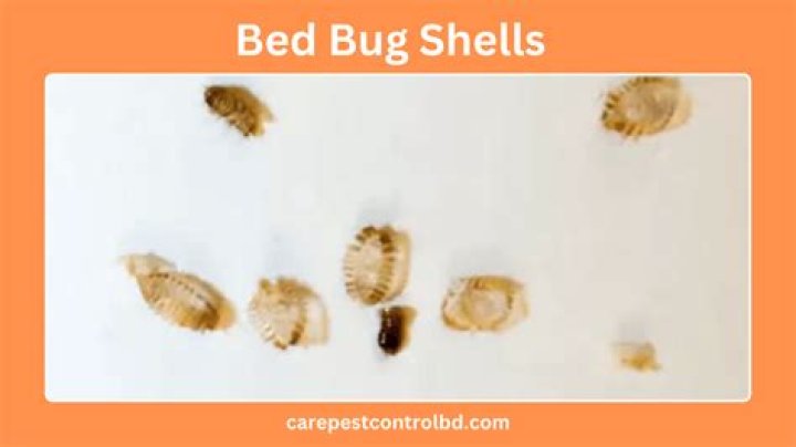 Do locusts leave shells?