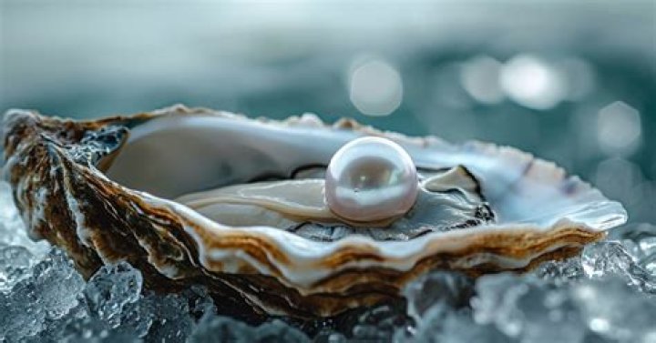 Do oyster shuckers find pearls?
