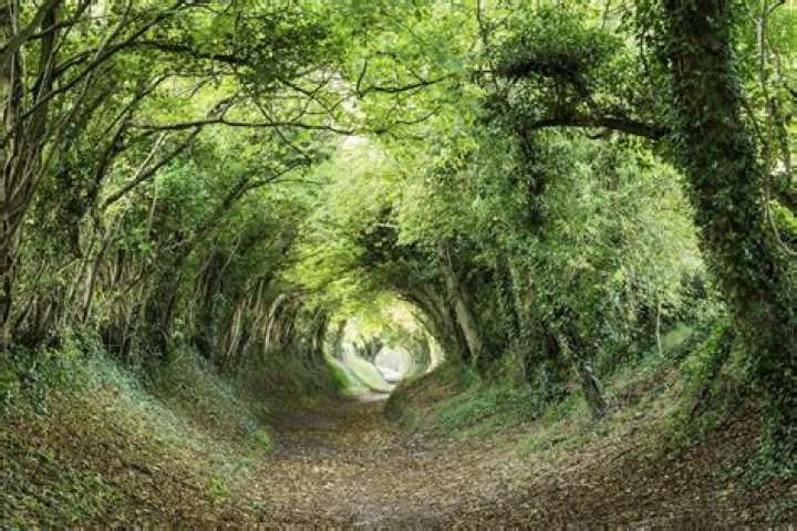 Is not out of the woods?