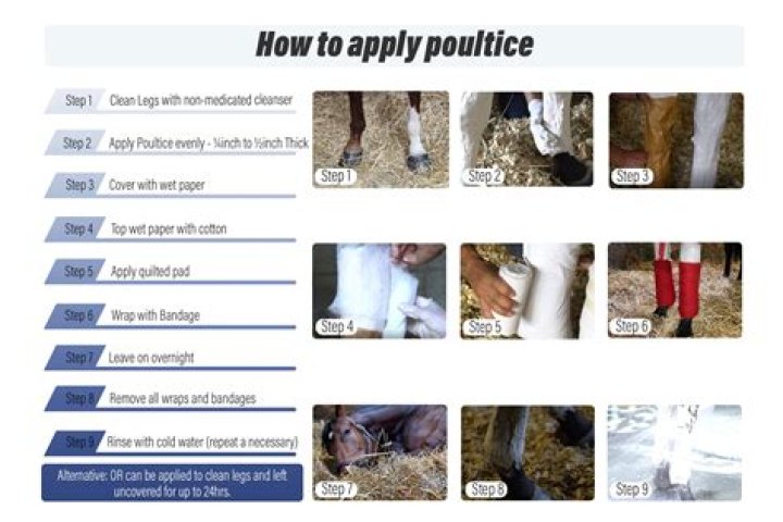 What poultice draw out infection?
