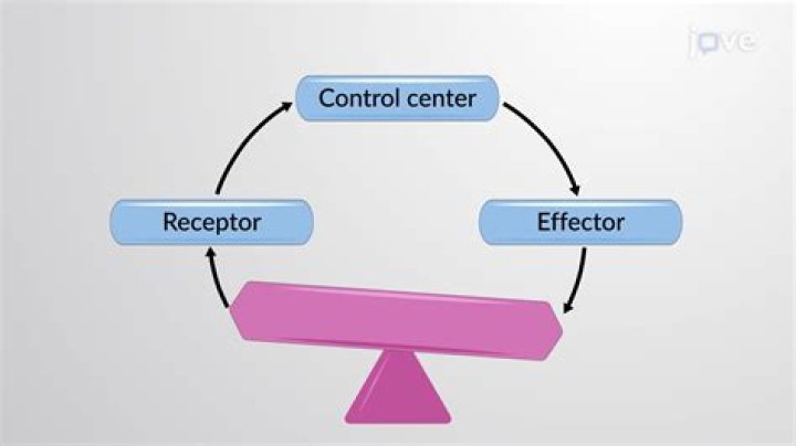 Why is there an imbalance and maldistribution of physicians?